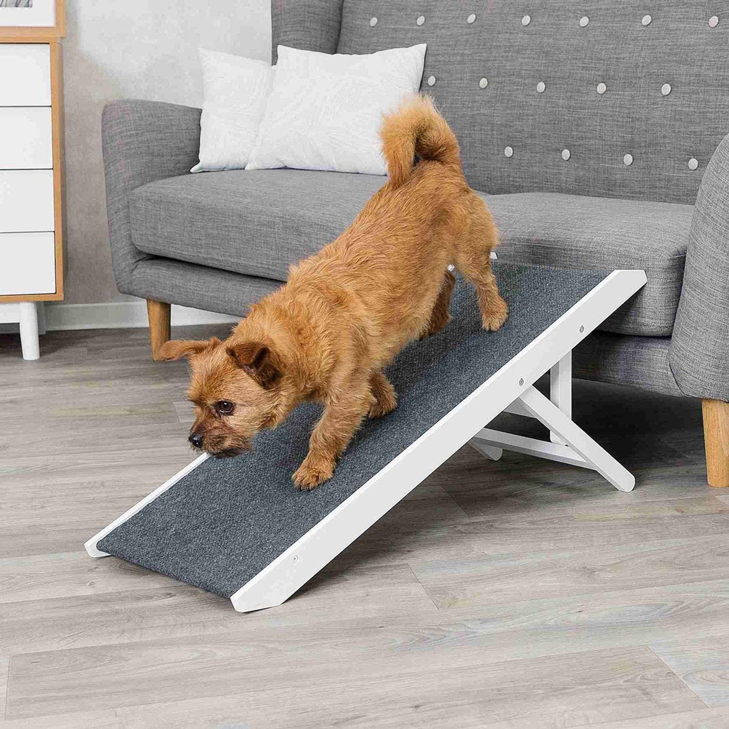 Trixie 39375 - Rampa Regolabile in Altezza, 36 x 90 cm, Colore: Bianco